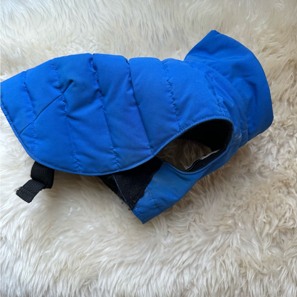 The 5 Second Dog Coat, Small